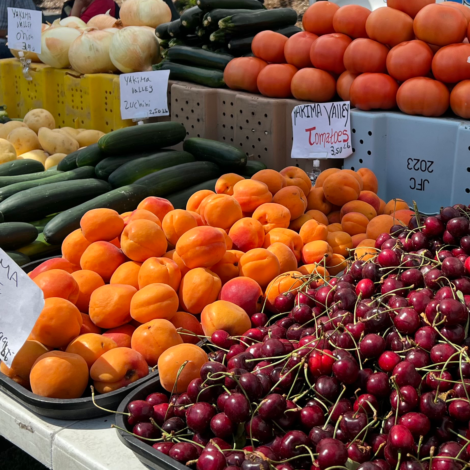 Vendor Photo [Square]